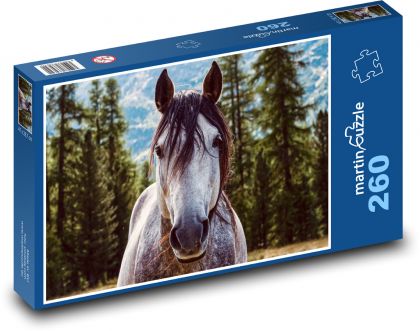 Kůň, hřebec - Puzzle 260 dílků, rozměr 41x28,7 cm