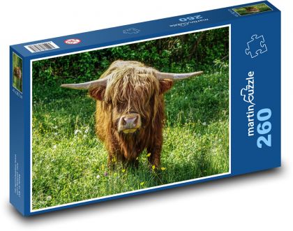 Škótsky náhorný dobytok - Puzzle 260 dielikov, rozmer 41x28,7 cm