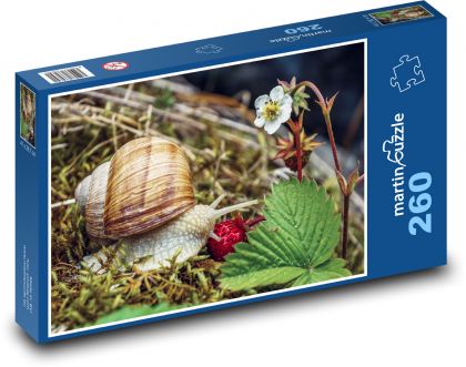 Ślimak ogrodowy - Puzzle 260 elementów, rozmiar 41x28,7 cm
