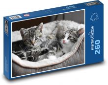 Mačiatka, mačiatka Puzzle 260 dielikov - 41 x 28,7 cm 