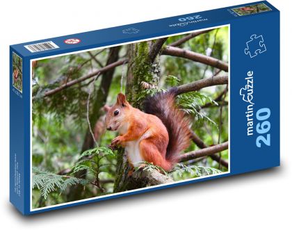 Hlodavec - veverka - Puzzle 260 dílků, rozměr 41x28,7 cm