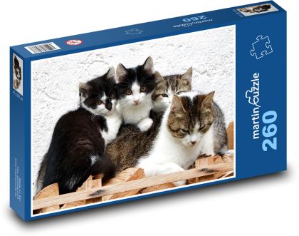 Kočka a koťata - Puzzle 260 dílků, rozměr 41x28,7 cm