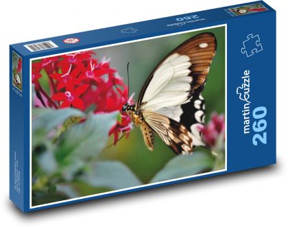 Tropischer Schmetterling - Puzzle - 260 Teile