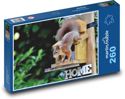wiewiórka, gryzoń - Puzzle 260 elementów, rozmiar 41x28,7 cm