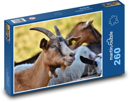 Koza hnědá - puzzle 260 dílků