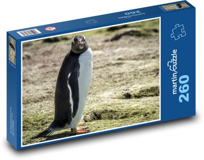 Vogel - Pinguin - Puzzle - 260 Teile