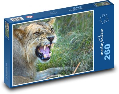 Animal, lion - Puzzle 260 pieces, size 41x28.7 cm 