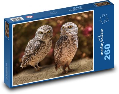Vtáky - Sova - Puzzle 260 dielikov, rozmer 41x28,7 cm