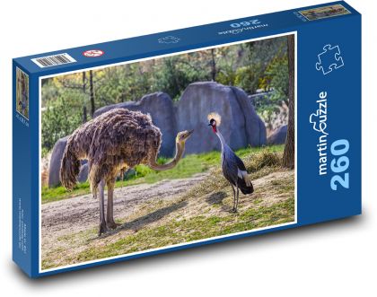 Pštros v ZOO - Puzzle 260 dielikov, rozmer 41x28,7 cm