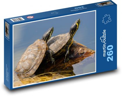 Zvířata - želvy - Puzzle 260 dílků, rozměr 41x28,7 cm
