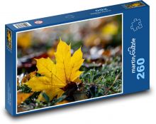 Liść, jesień, dekoracja Puzzle 260 elementów - 41x28,7 cm