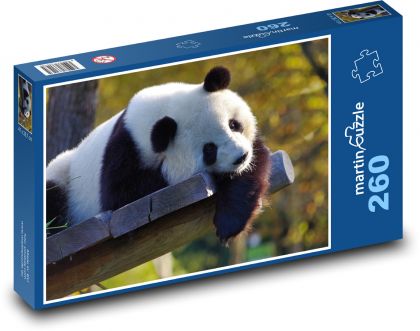 Miś - Wielka Panda - Puzzle 260 elementów, rozmiar 41x28,7 cm