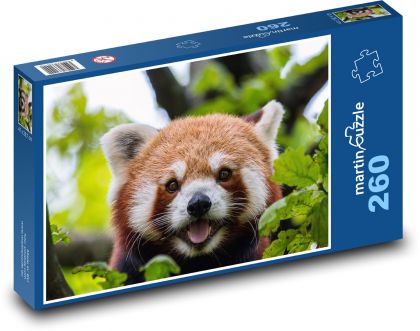 Medvídek - Panda červená - Puzzle 260 dílků, rozměr 41x28,7 cm