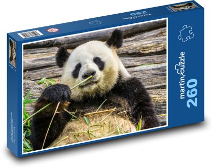 Medvěd panda - puzzle 260 dílků