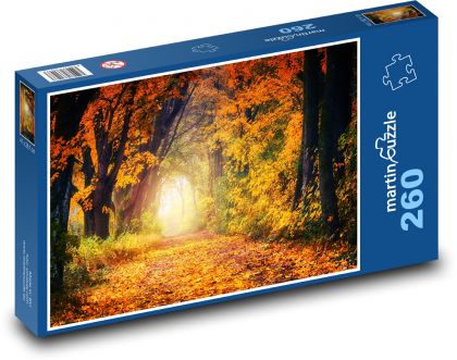 Natur, Herbst, Straße - Puzzle - 260 Teile