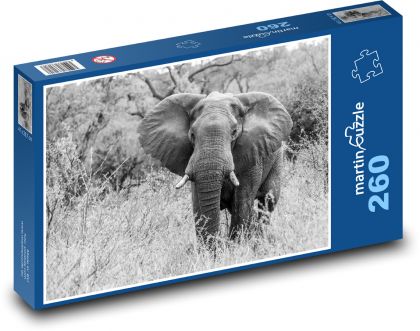 Slon Africký - Puzzle 260 dílků, rozměr 41x28,7 cm