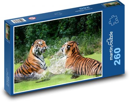 Tiger - animal, water - Puzzle 260 pieces, size 41x28.7 cm 
