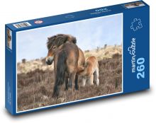 Pony mit Baby Puzzle 260 Teile - 41 x28,7 cm