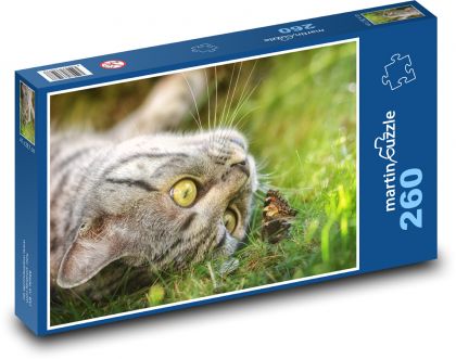 Kočka - motýl, koťátko - Puzzle 260 dílků, rozměr 41x28,7 cm