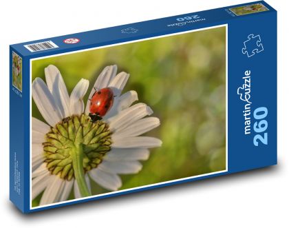 Stokrotka - kwiatek, biedronka - Puzzle 260 elementów, rozmiar 41x28,7 cm