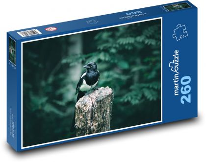 Magpie - bird, nature - Puzzle 260 pieces, size 41x28.7 cm 