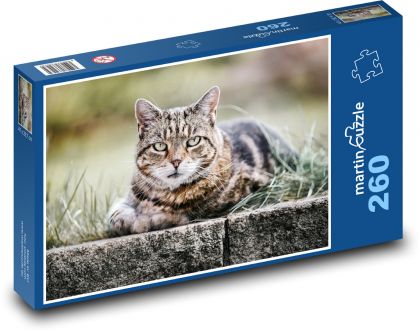 Kočka - mourek, zvíře - Puzzle 260 dílků, rozměr 41x28,7 cm