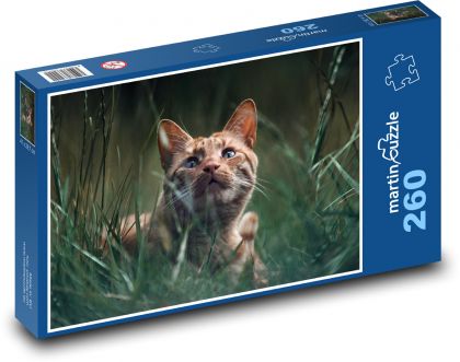 Katze - Tier, Kätzchen - Puzzle - 260 Teile