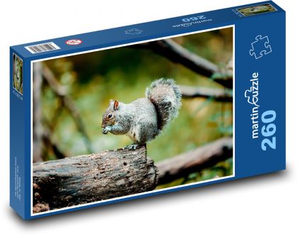 Veverička - zviera, les - Puzzle 260 dielikov, rozmer 41x28,7 cm