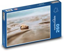 Sea shore seashells Puzzle 260 pieces - 41 x 28.7 cm