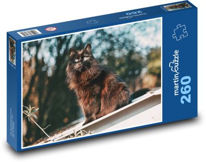 Kočka - domácí, zvíře - puzzle 260 dílků