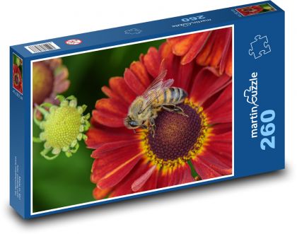 Květiny - včela, opýlení - Puzzle 260 dílků, rozměr 41x28,7 cm
