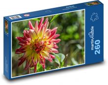 Dahlie - Blume, Herbst Puzzle 260 Teile - 41 x28,7 cm