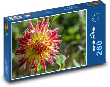 Jiřina - kvetina, jeseň - Puzzle 260 dielikov, rozmer 41x28,7 cm