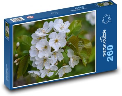 Flower - spring, nature - Puzzle 260 pieces, size 41x28.7 cm 