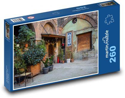 Nádvorie - rastliny, budova - Puzzle 260 dielikov, rozmer 41x28,7 cm