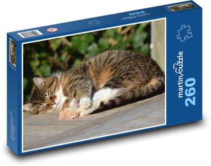 Kočka - zvíře, spánek - Puzzle 260 dílků, rozměr 41x28,7 cm