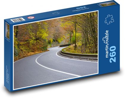 Road - asphalt, autumn - Puzzle 260 pieces, size 41x28.7 cm 