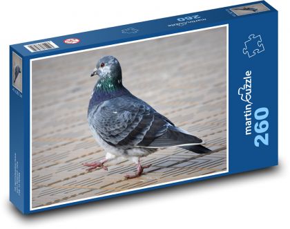 Taube - Vogel, Tier - Puzzle - 260 Teile