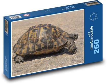 Želva - plaz, zvíře - Puzzle 260 dílků, rozměr 41x28,7 cm