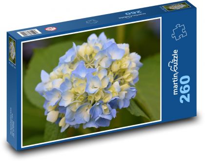 Hortenzie - modrý květ, květina - Puzzle 260 dílků, rozměr 41x28,7 cm