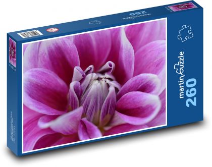Jiřina - fialová květina - Puzzle 260 dílků, rozměr 41x28,7 cm
