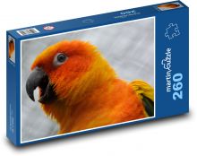 Papoušek - oranžový pták Puzzle 260 dílků - 41 x 28,7 cm
