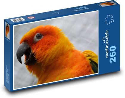 Papoušek - oranžový pták - Puzzle 260 dílků, rozměr 41x28,7 cm