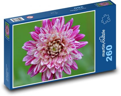 Dahlia - flower, purple - Puzzle 260 pieces, size 41x28.7 cm 