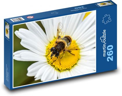 Včela - květ, příroda - Puzzle 260 dílků, rozměr 41x28,7 cm