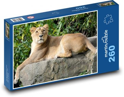 Löwin - Säugetier, Tier - Puzzle - 260 Teile