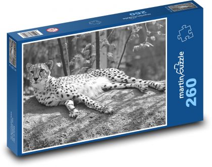 Leopard - kočka, zvíře - Puzzle 260 dílků, rozměr 41x28,7 cm