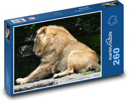Lev - kočka, savec - Puzzle 260 dílků, rozměr 41x28,7 cm