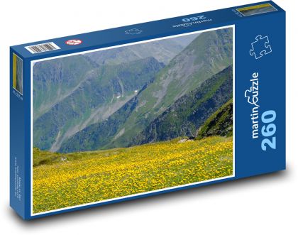Horská príroda - kvety, lúka - Puzzle 260 dielikov, rozmer 41x28,7 cm