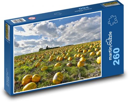 Tekvica - tekvicové pole, zelenina - Puzzle 260 dielikov, rozmer 41x28,7 cm